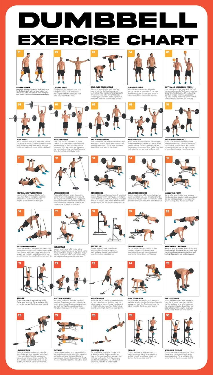Dumbbell Workout Poster - 10 Free Pdf Printables | Printablee with regard to Free Printable Workout Routines