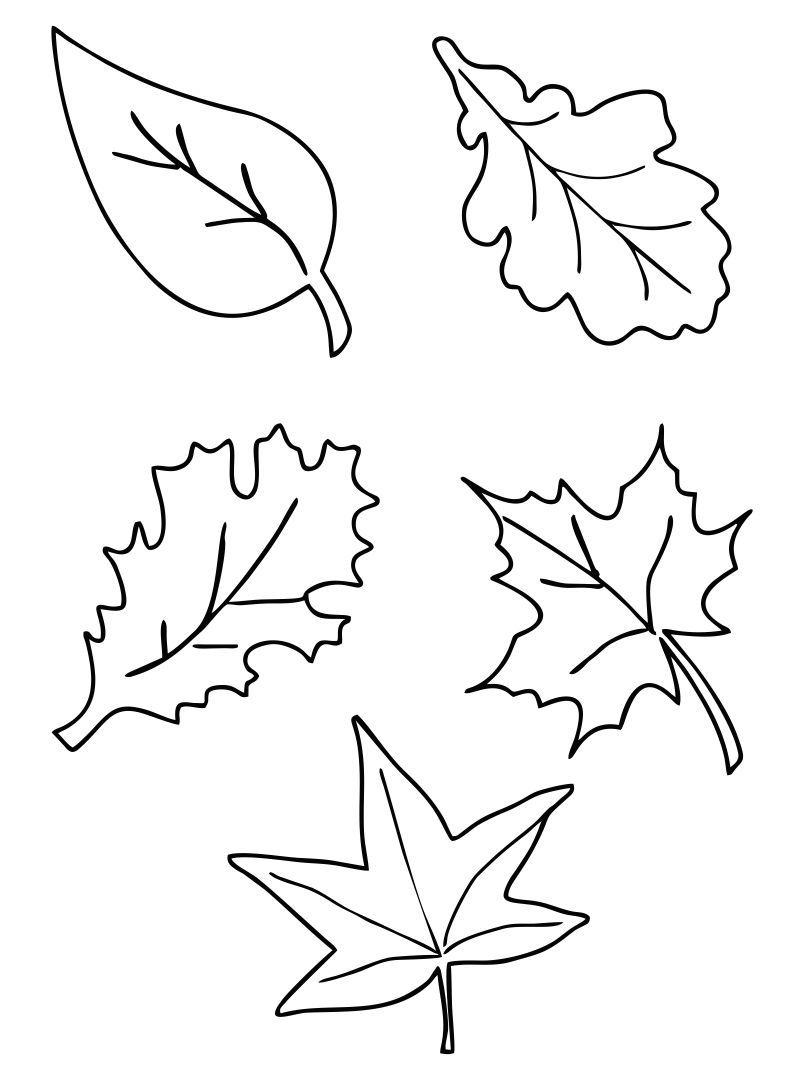 Fall Leaf Printables - Printable Party Favors within Free Printable Pictures Of Autumn Leaves