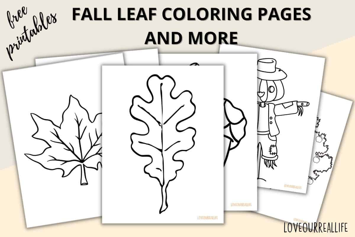 Fall Leaves Coloring Pages + Free Printable Leaf Templates ⋆ Love with regard to Free Printable Fall Leaves Coloring Pages
