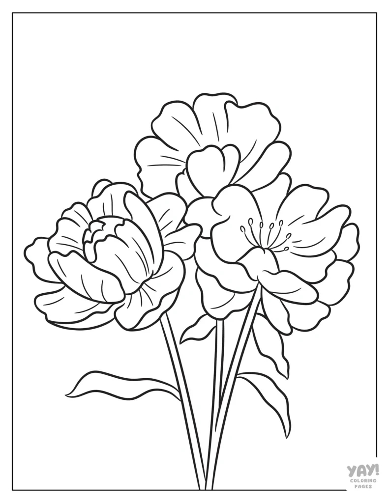 Flower Coloring Pages (Free Printables) inside Free Printable Flower Coloring Pages