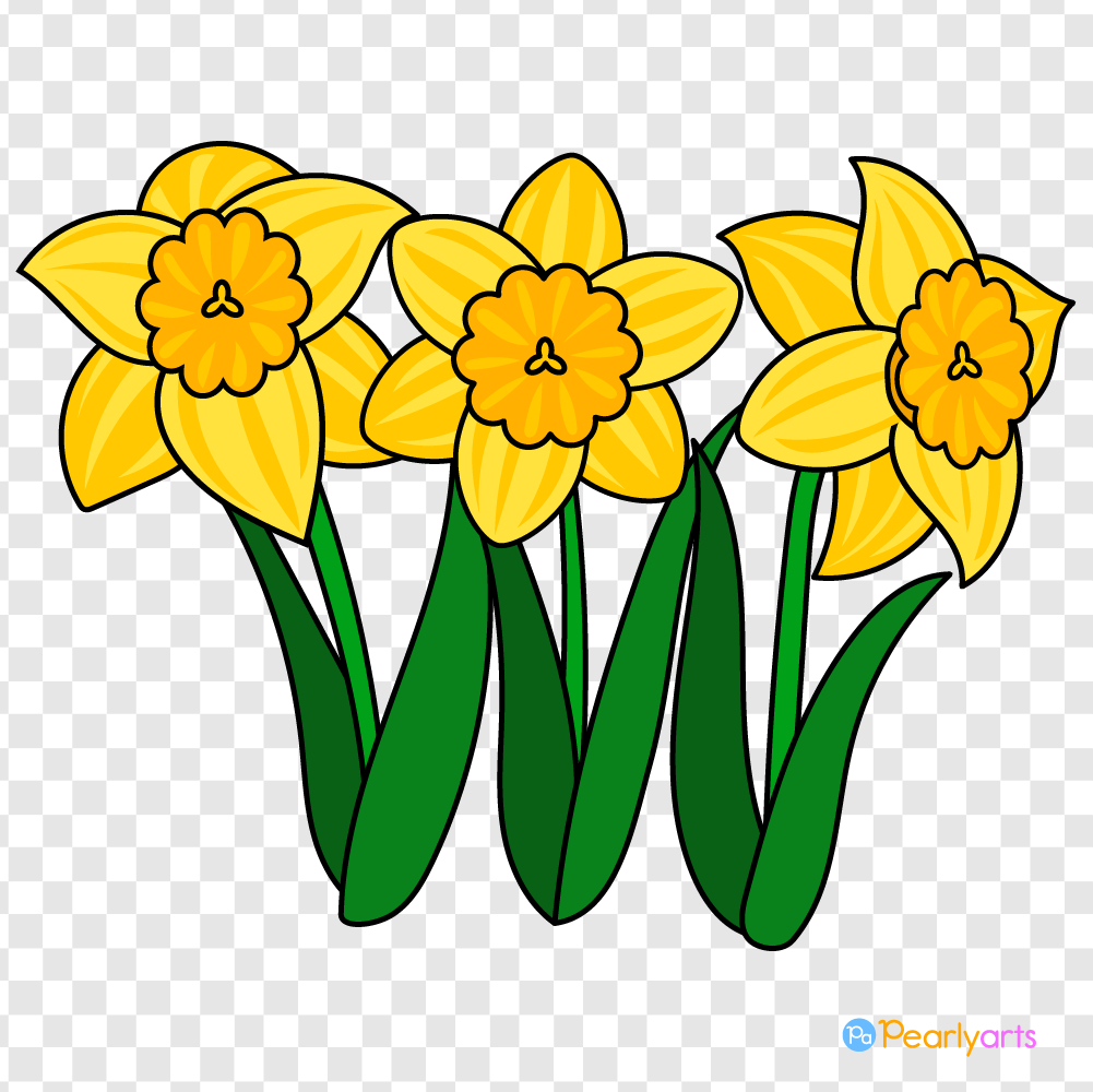 Free Daffodils Clipart (Royalty-Free) | Pearly Arts intended for Free Printable Pictures Of Daffodils