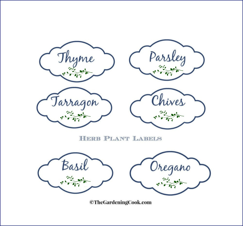 Free Herb Plant Labels For Mason Jars And Pots regarding Free Printable Plant Labels