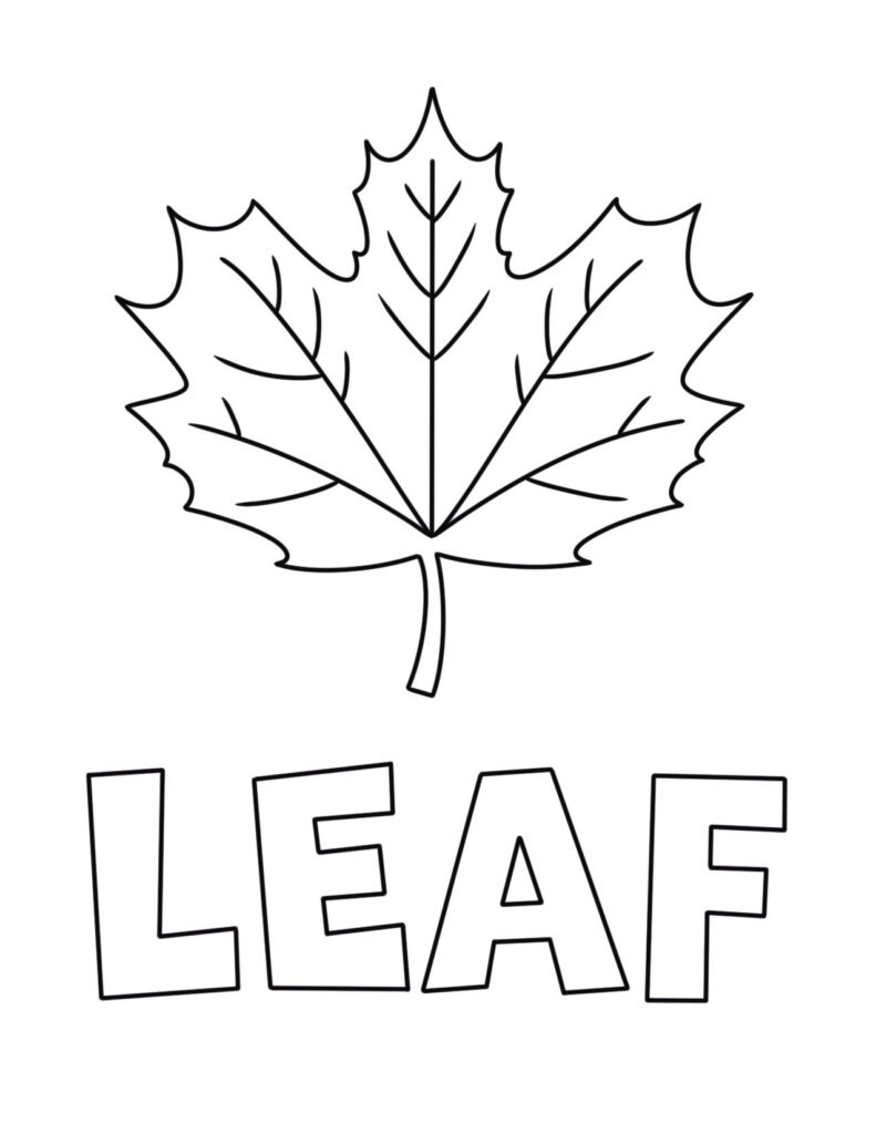 Free Leaf Coloring Pages And Templates Of Leaves! ⋆ The Hollydog Blog within Free Printable Leaf Coloring Pages