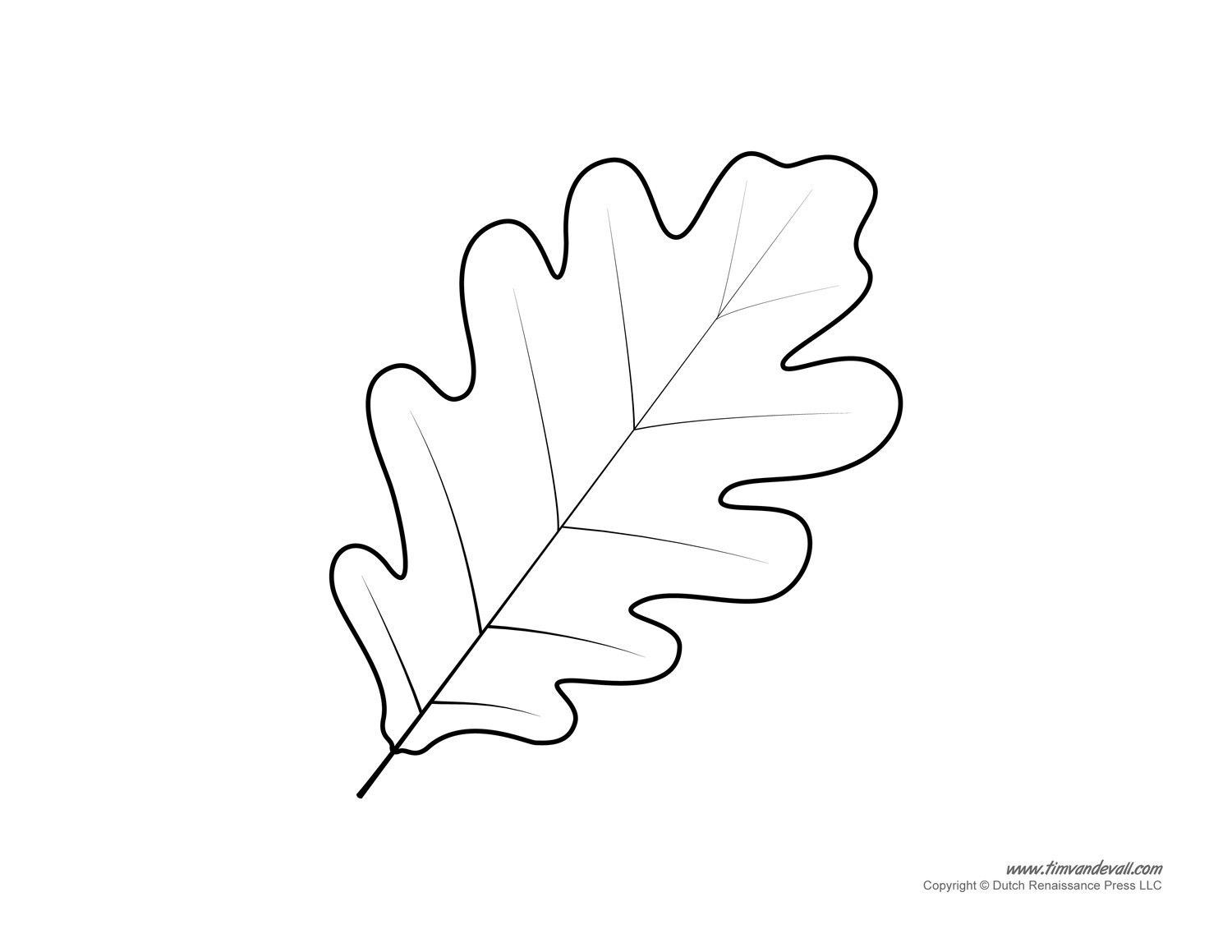 Free Leaf Template For Print - Worksheets Library throughout Free Printable Oak Leaf Patterns