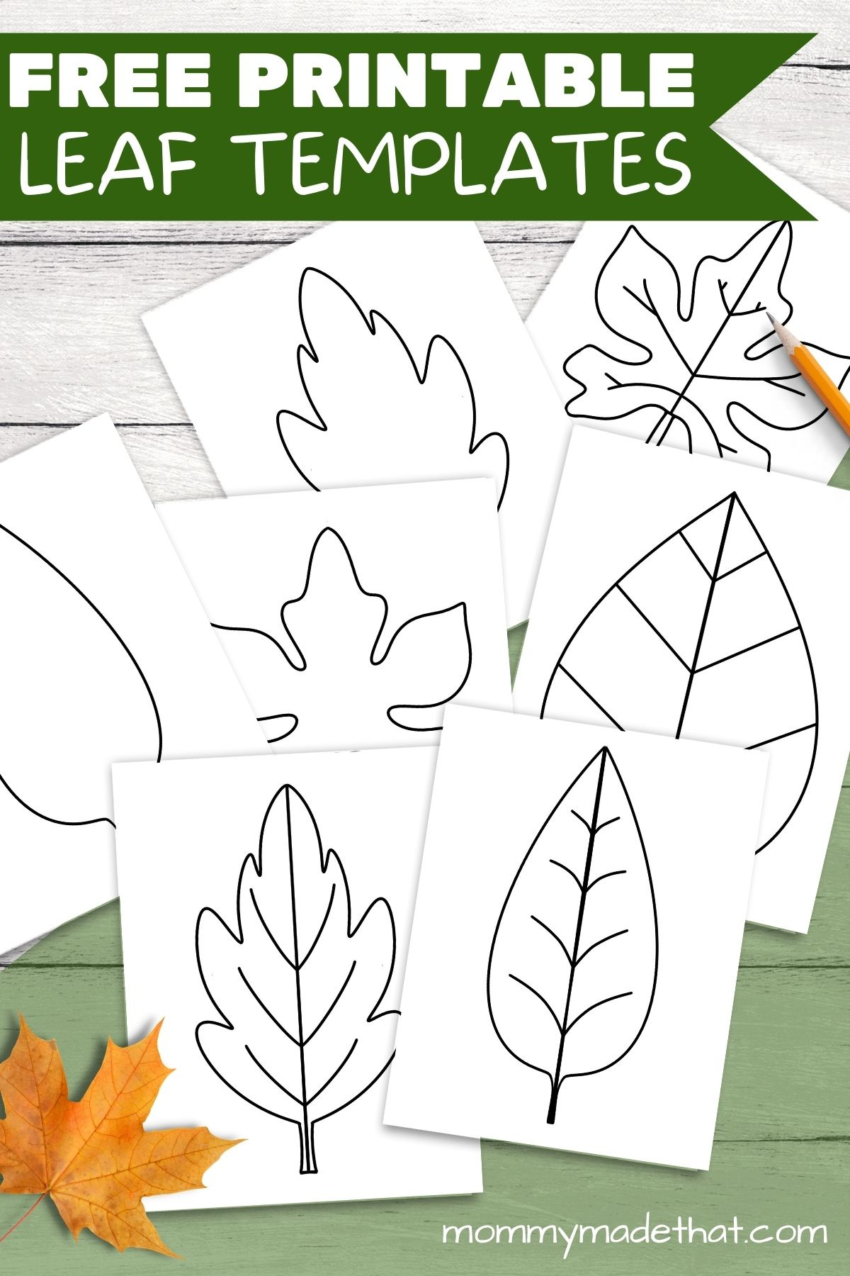 Free Leaf Templates &amp;amp; Outlines: Tons Of Printables!! for Free Printable Oak Leaf Patterns