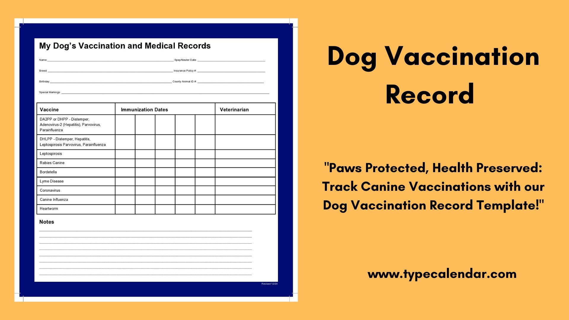 Free Printable Dog Vaccination Record Template: Keep Your Pet&amp;#039;S in Free Printable Dog Shot Records
