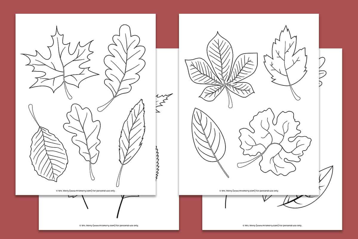 Free Printable Fall Leaves Coloring Pages | Mrs. Merry pertaining to Free Printable Leaf Coloring Pages