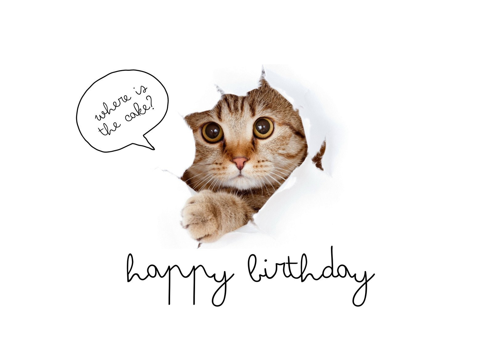 Free Printable Funny Birthday Card Templates | Canva throughout Free Printable Funny Birthday Cards