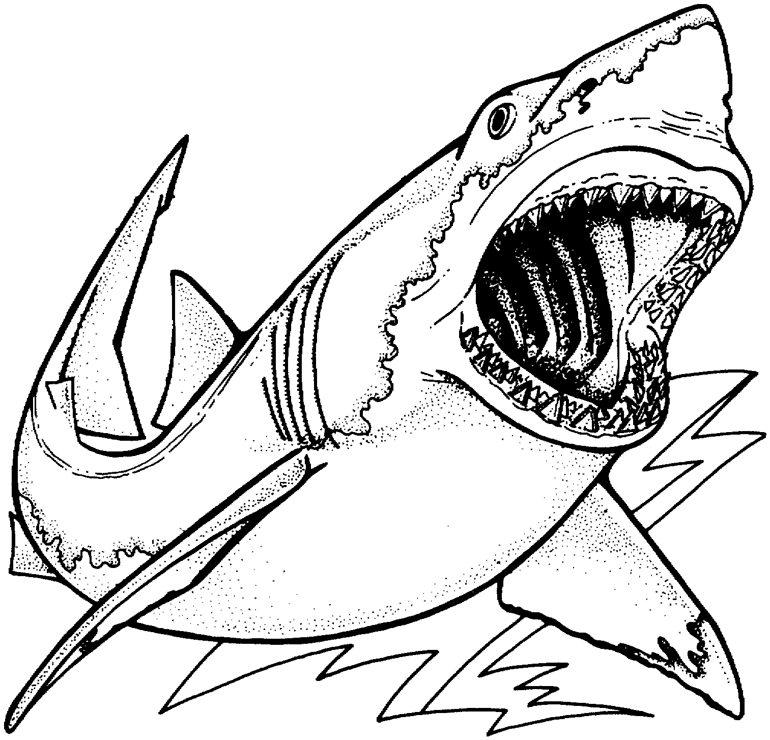 Free Shark Coloring Pages in Free Printable Shark Coloring Pages
