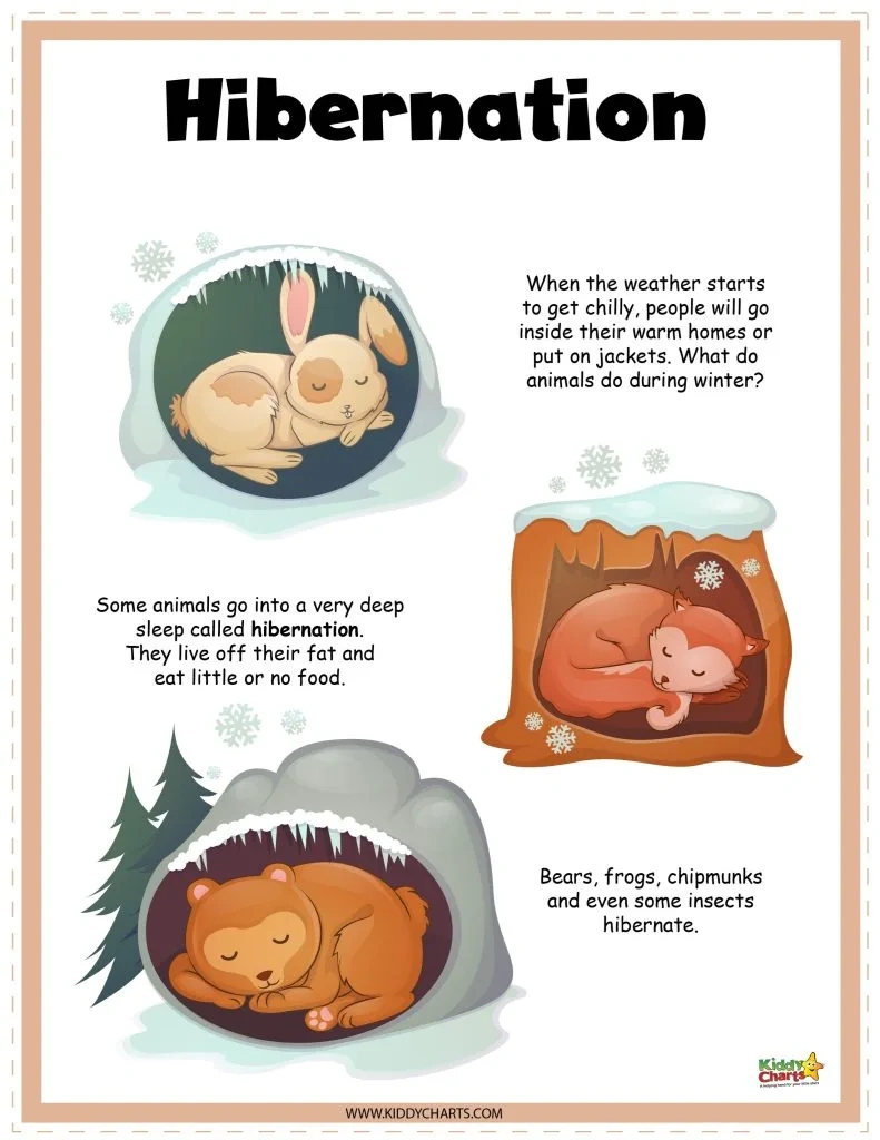 Hibernating Animals Activity Sheets - Kiddycharts within Free Printable Hibernation Worksheets