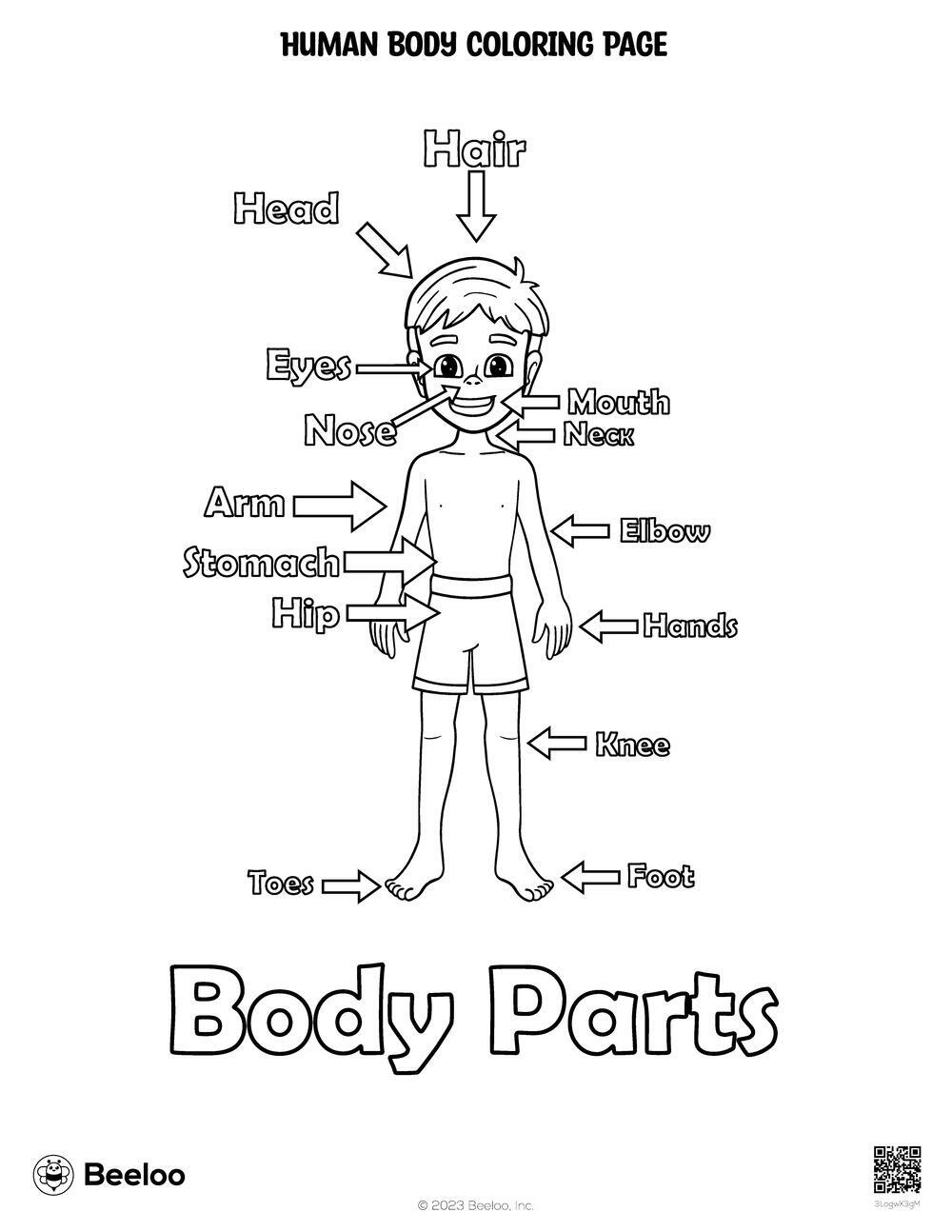 Human Body-Themed Coloring Pages • Beeloo Printable Crafts And intended for Free Printable Human Anatomy Coloring Pages