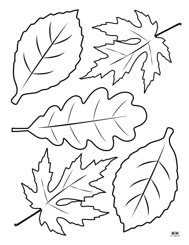 Leaf Outlines, Templates &amp;amp; Coloring Pages - 55 Free Pages pertaining to Free Printable Leaf Coloring Pages