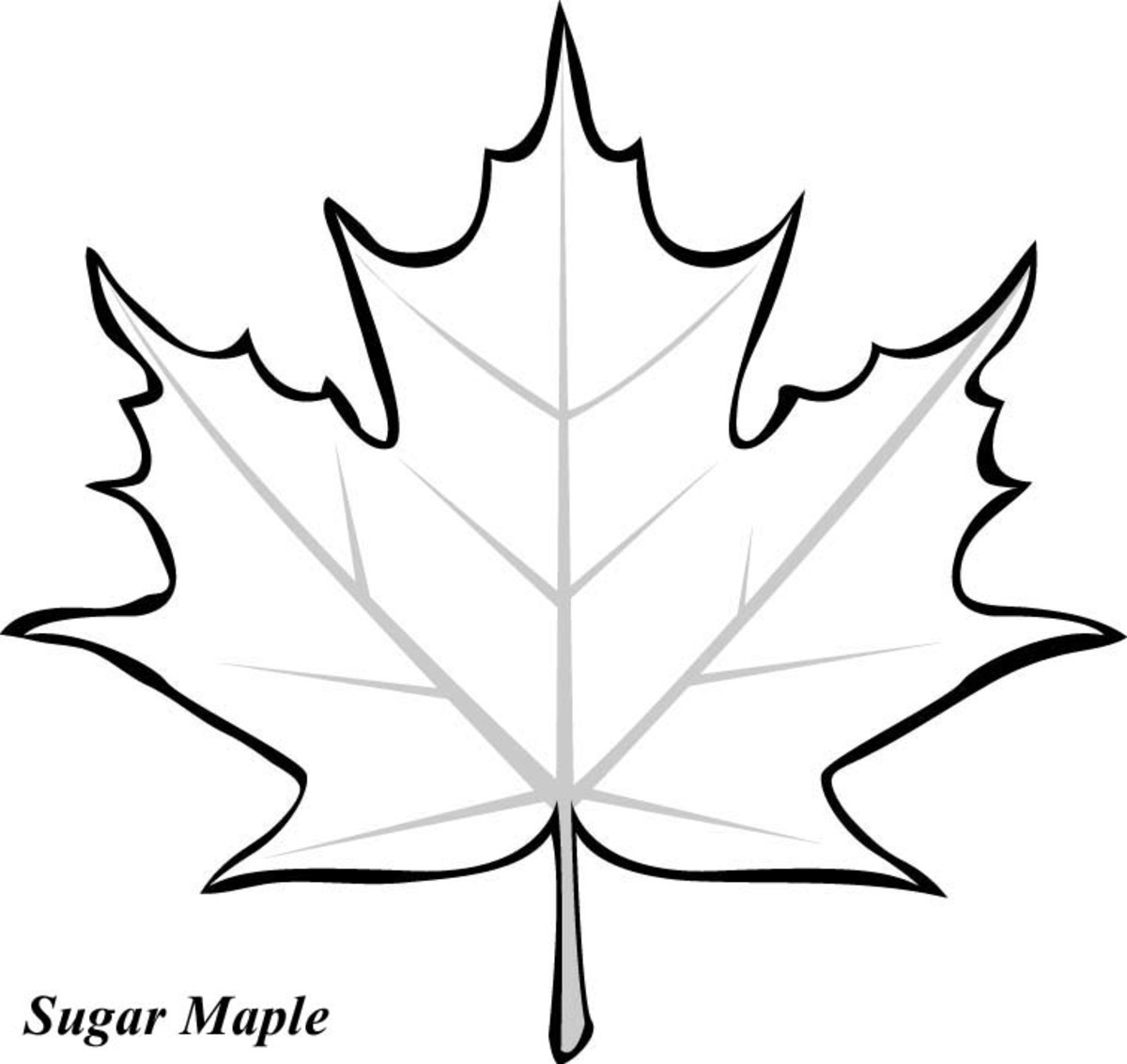 Leaf Printable Coloring Pages - Hubpages in Free Printable Leaf Coloring Pages