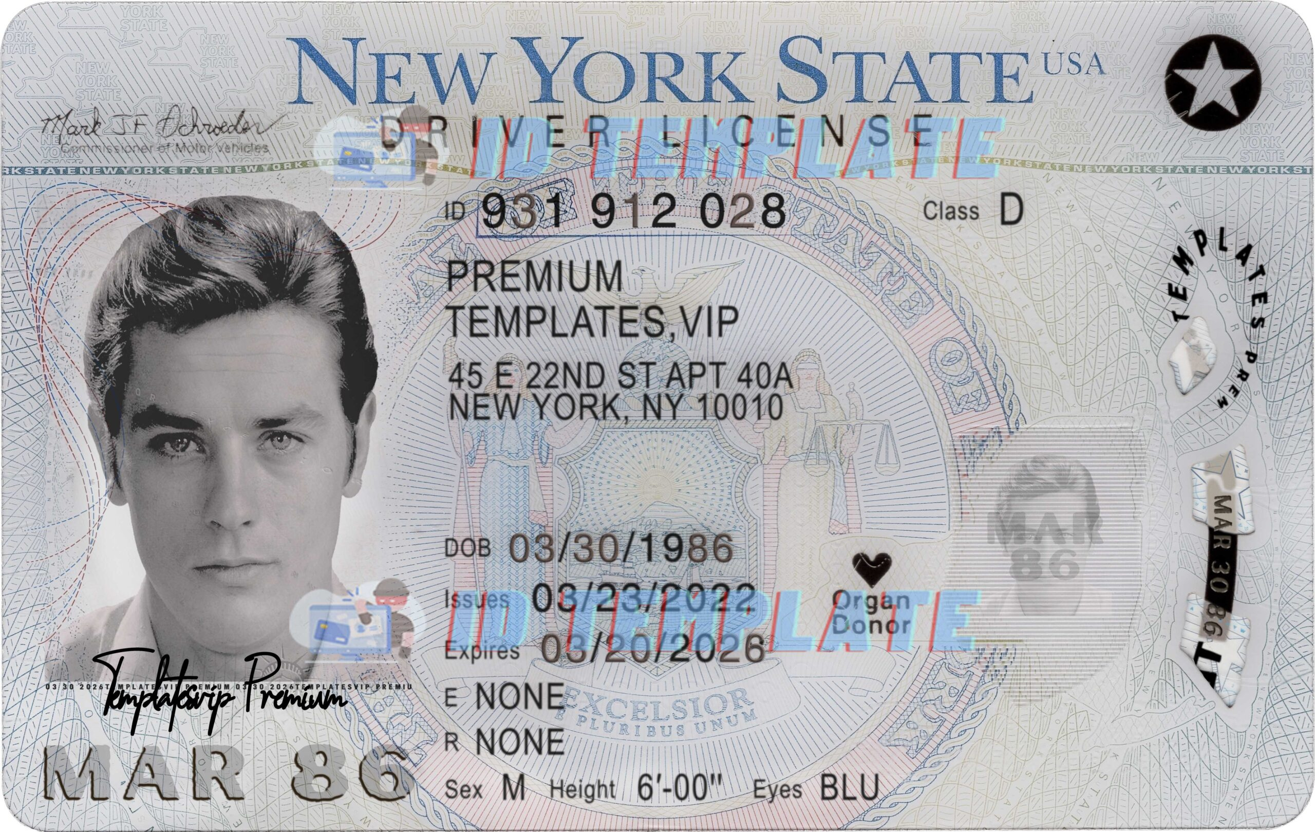 New York Drivers License Psd Template New V3 1200Dpi in Free Printable Fake Drivers License