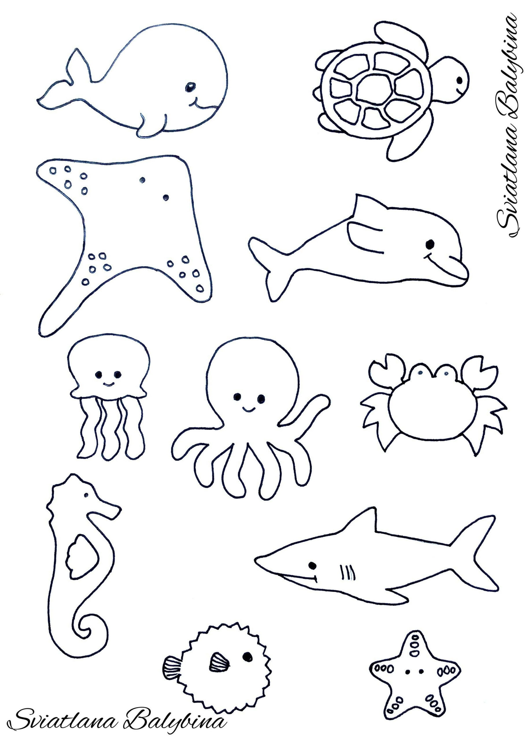 Ocean Animal Templates - Event Program Template pertaining to Free Printable Sea Creature Templates