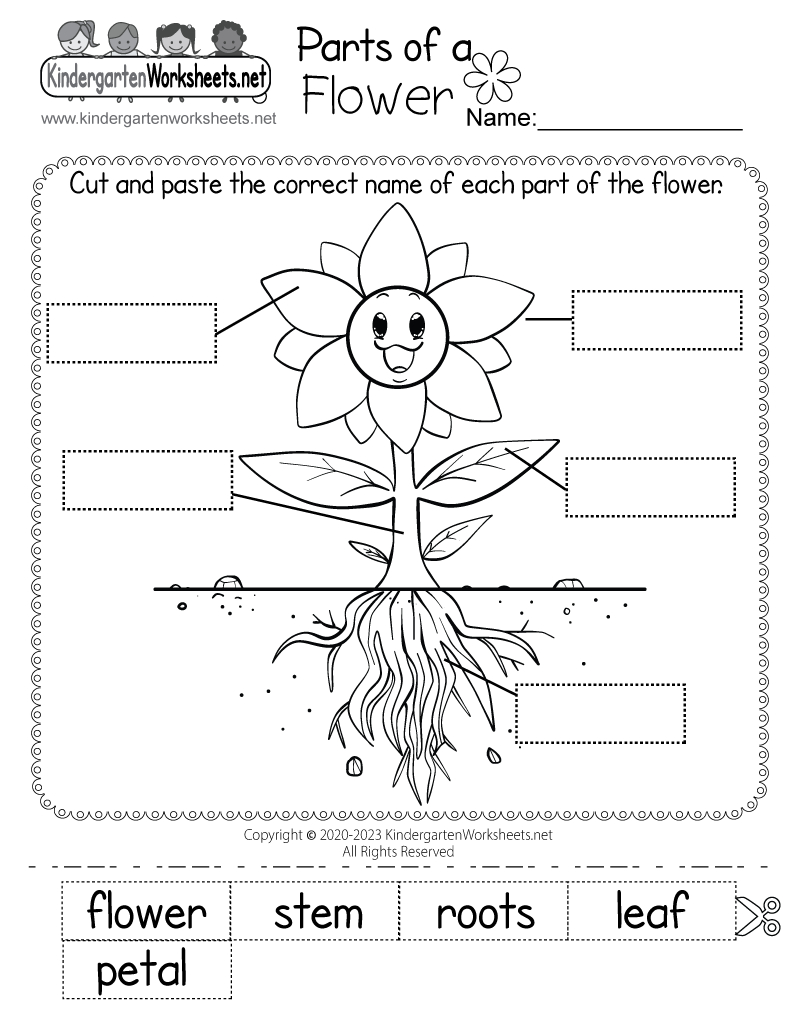 Parts Of A Flower Worksheet - Free Printable, Digital, & Pdf throughout Free Printable Worksheets For Kids Science