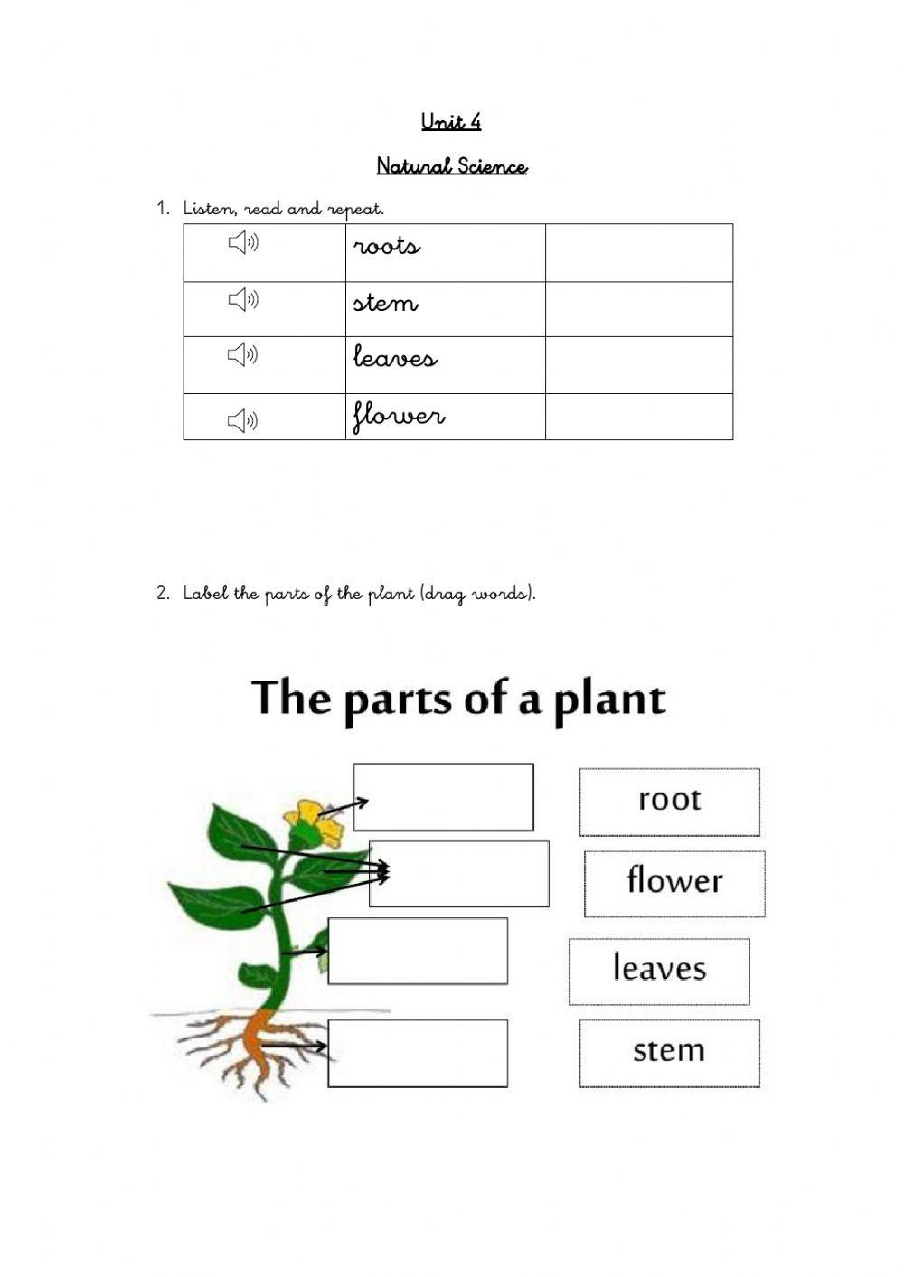 Plants Interactive Activity For Grade 2 | Live Worksheets within Free Printable Science Worksheets For Grade 2