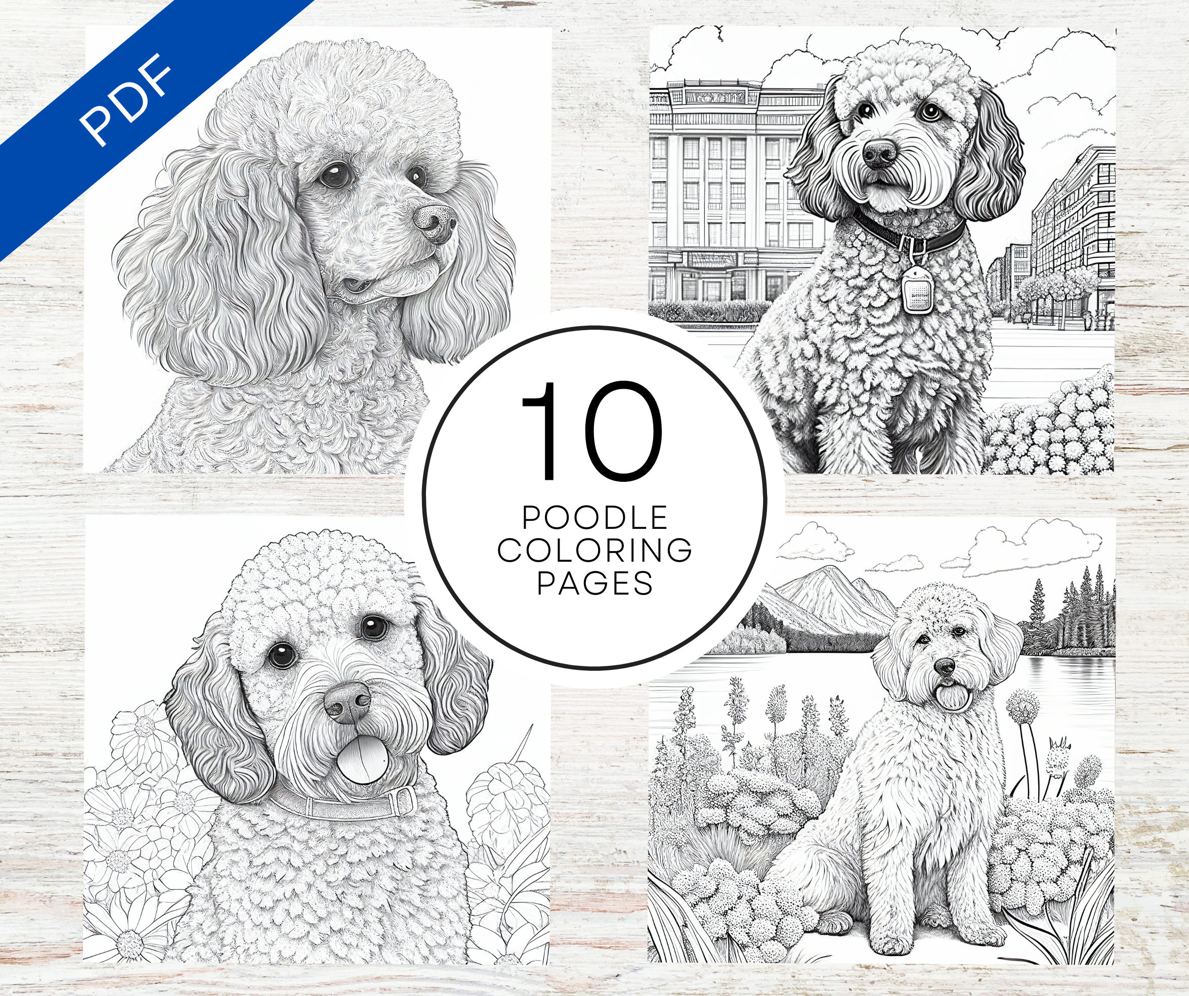 Poodle Dogs Coloring Pages | A4 Printable Pdf | Dog Coloring with regard to Free Printable Poodle Template