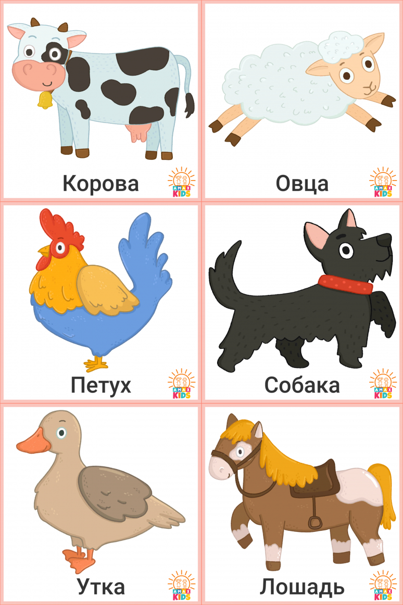 Printable Flashcards For Kids – Farm Animals | Amax Kids inside Free Printable Farm Animal Clipart