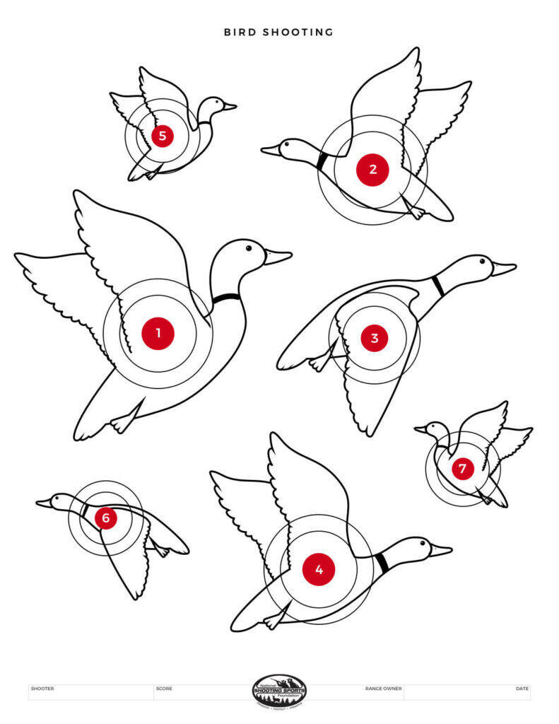 Printable Shooting Targets And Gun Targets • Nssf intended for Free Printable Targets