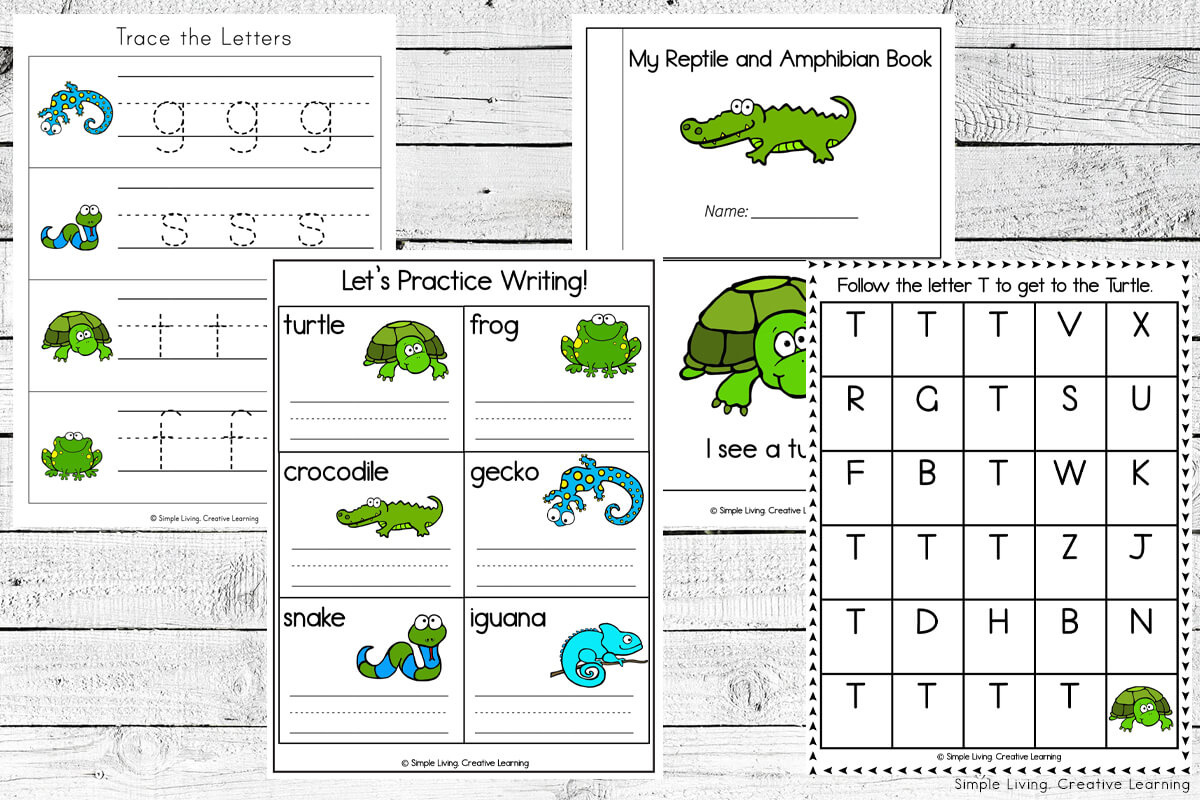 Reptile Reptiles | Worksheet Activity Kindergarten 1St 2Nd 3Rd 4Th within Free Printable Reptile Worksheets