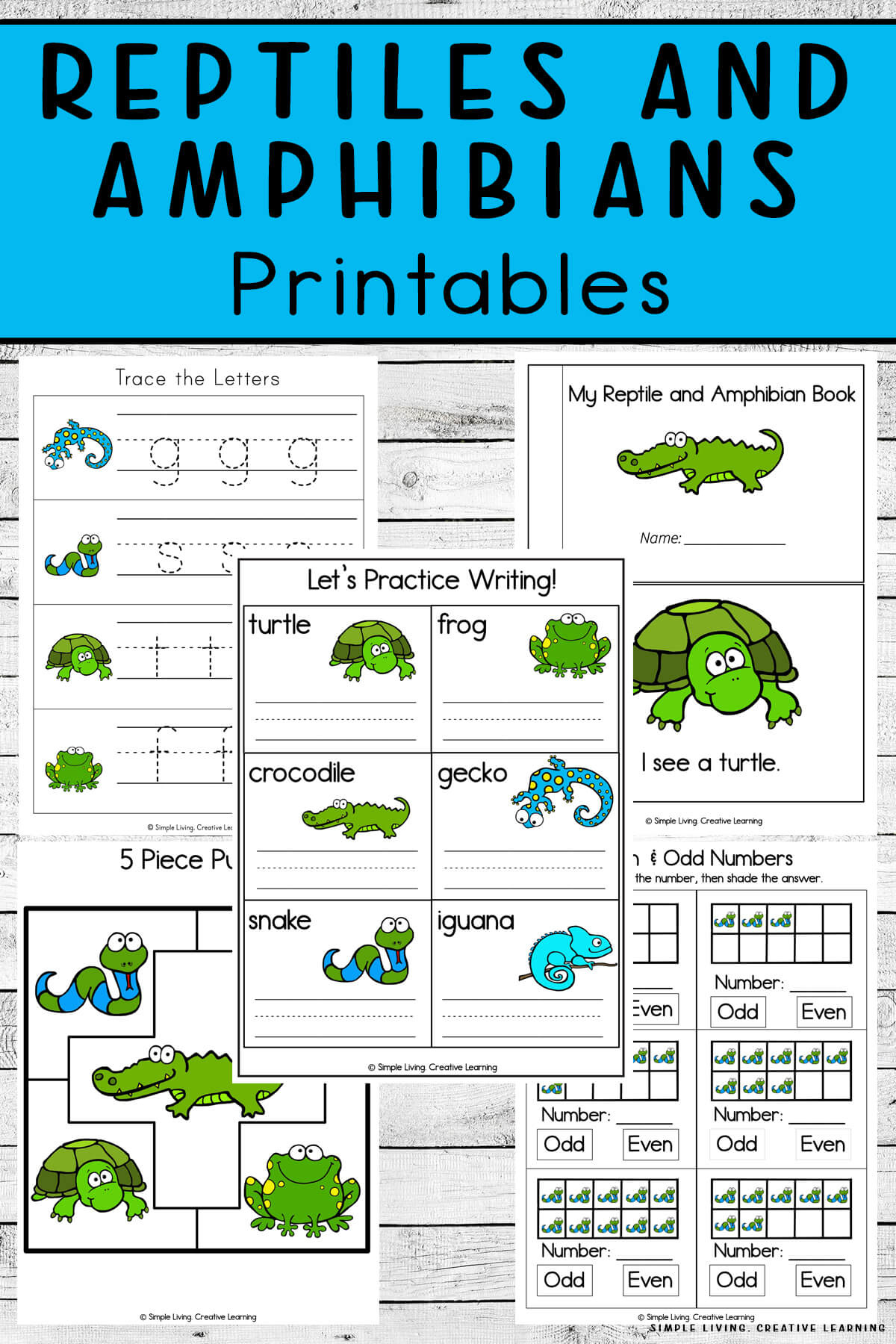 Reptiles And Amphibians Printables - Simple Living. Creative Learning pertaining to Free Printable Reptile Worksheets