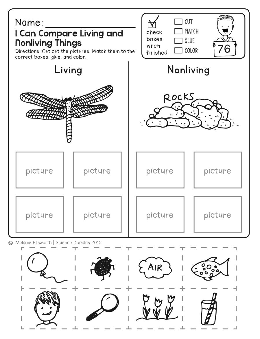 Science Worksheets For Kindergarten (Free Printables) - Worksheets intended for Free Printable Science Worksheets