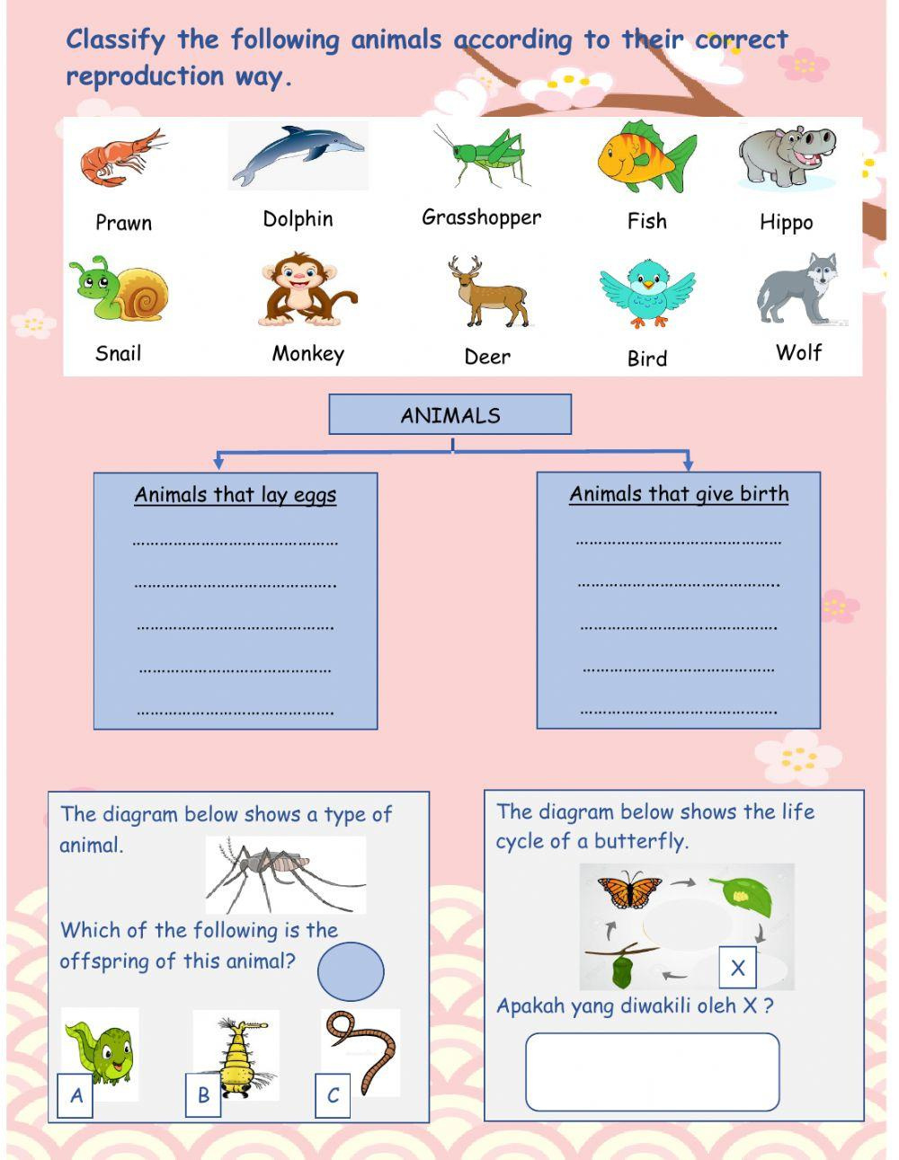 Science Year 2 Interactive Worksheet | Live Worksheets with Free Printable Science Worksheets For 2Nd Grade