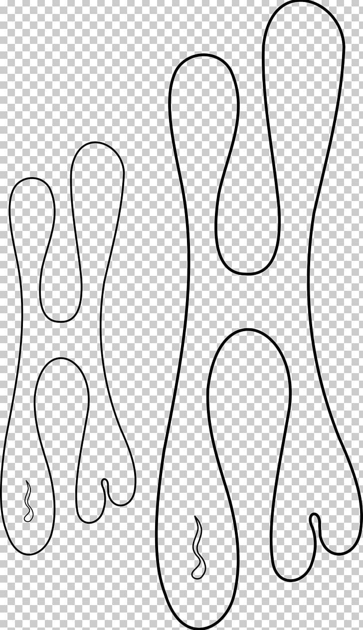 Stencil Airbrush Flame Png - Free Download within Free Printable Airbrush Stencils