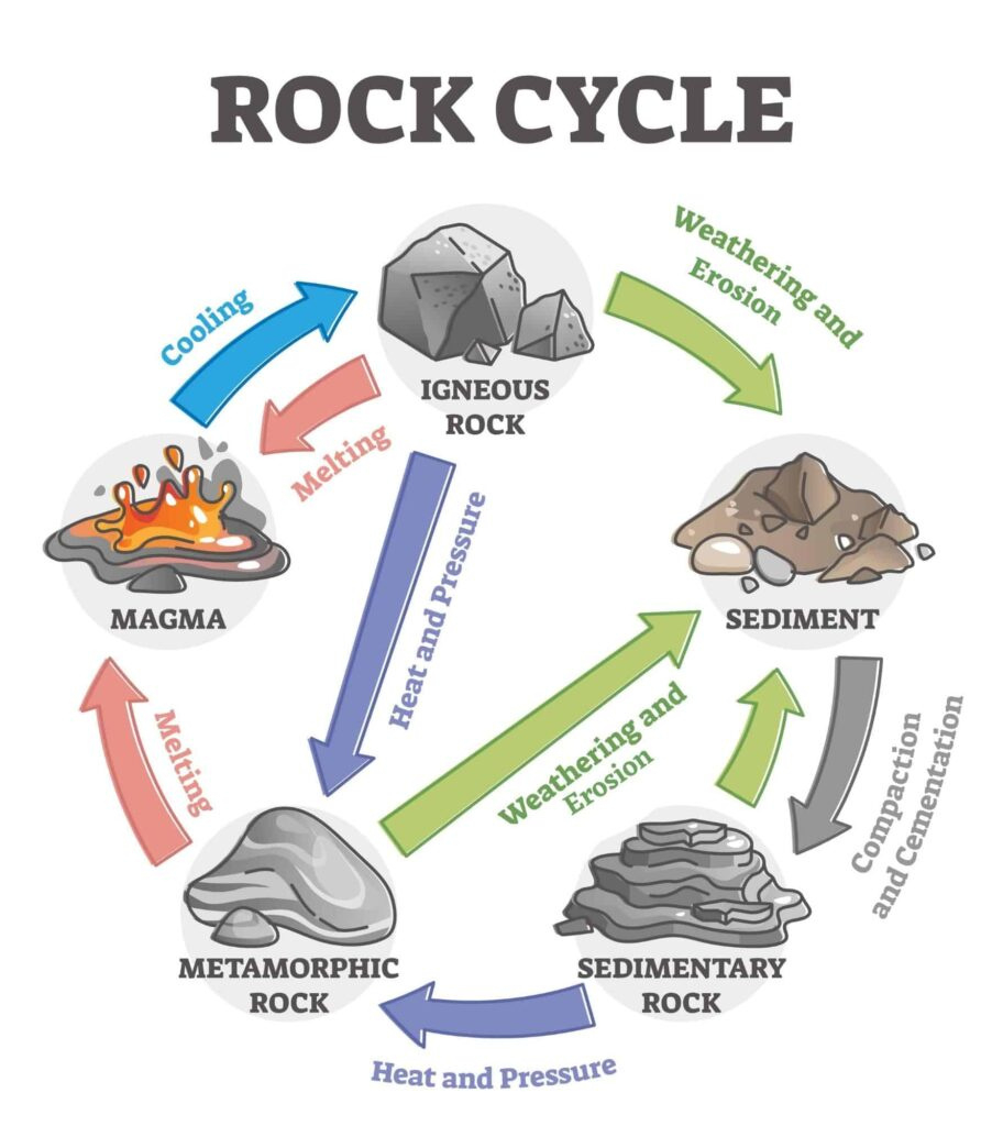 The Rock Cycle Explained - Activities & Worksheets - The regarding Rock Cycle Worksheets Free Printable