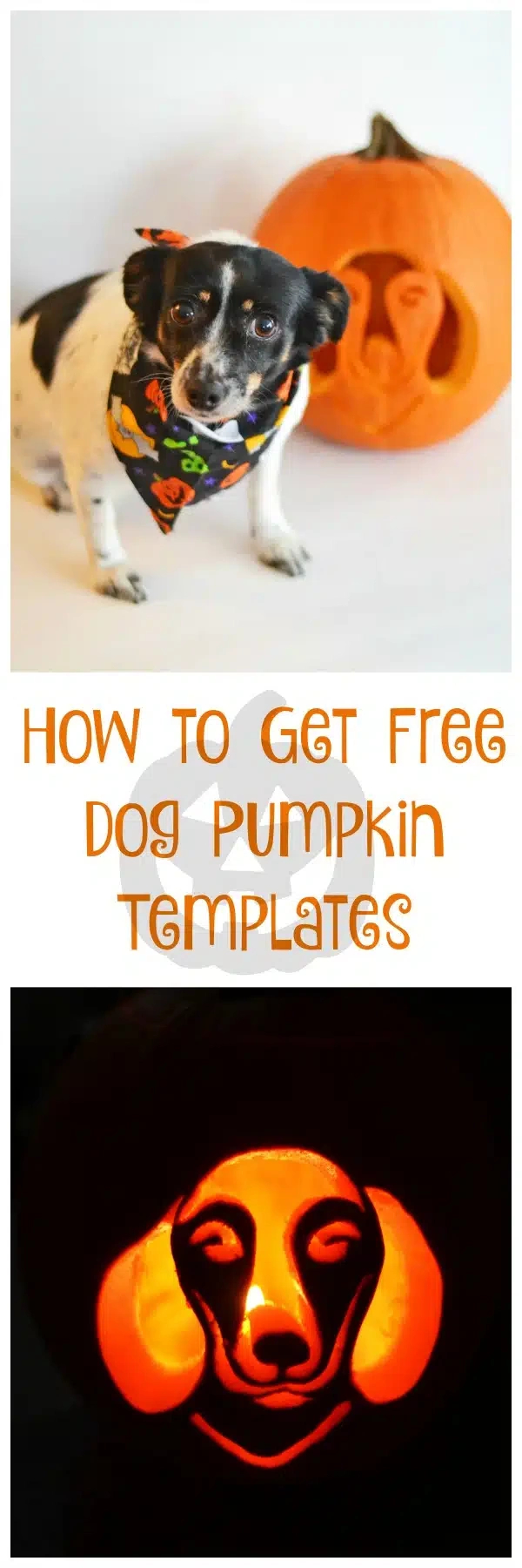 These Are The Best Dog Pumpkin Carving Templates We'Ve Found! for Free Printable Pumpkin Carving Templates Dog