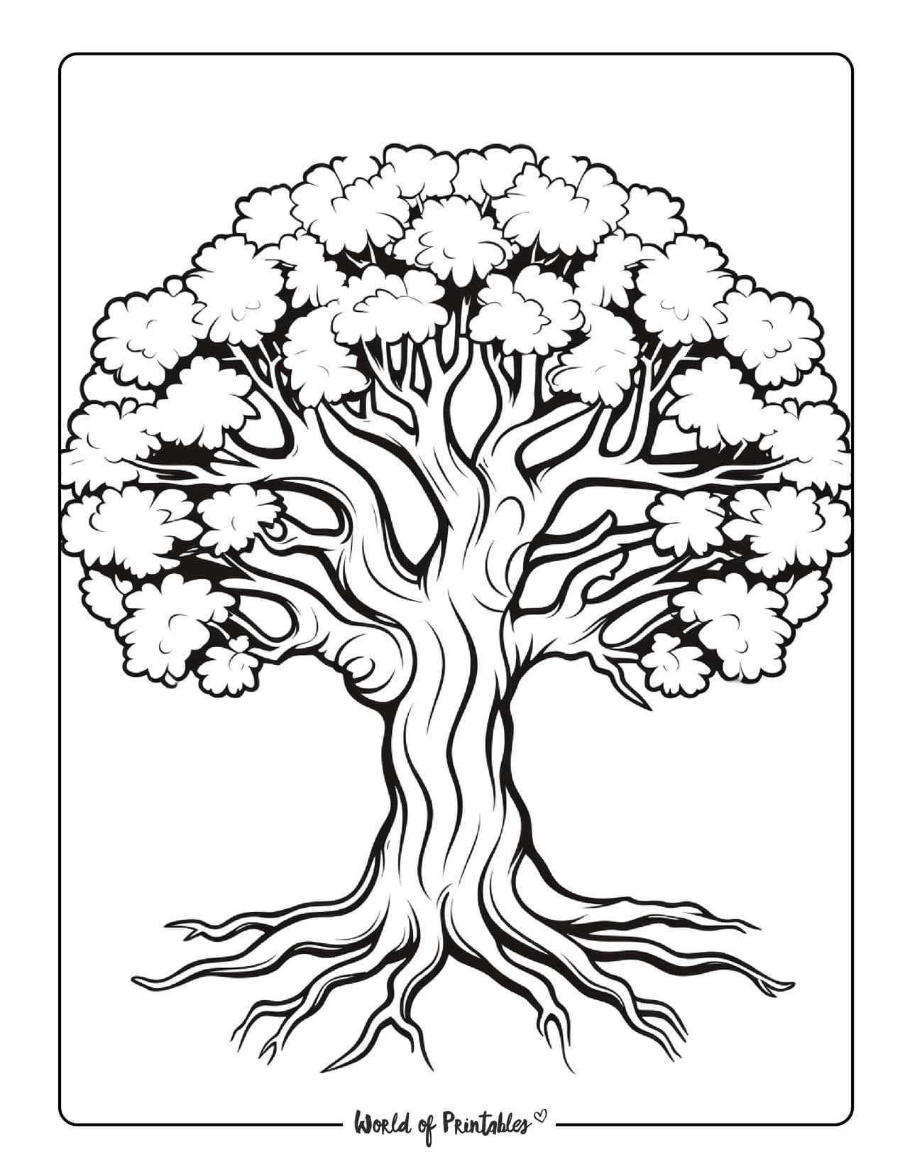 Tree Coloring Pages - World Of Printables with Tree Coloring Pages Free Printable