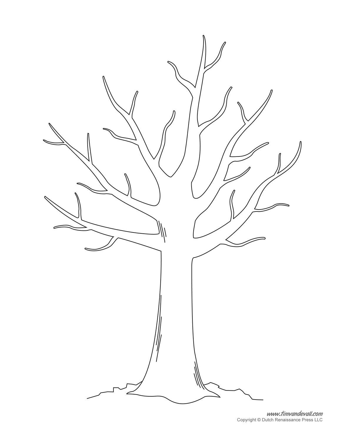 Tree Templates | Tree Printables - Worksheets Library in Free Printable Tree Template