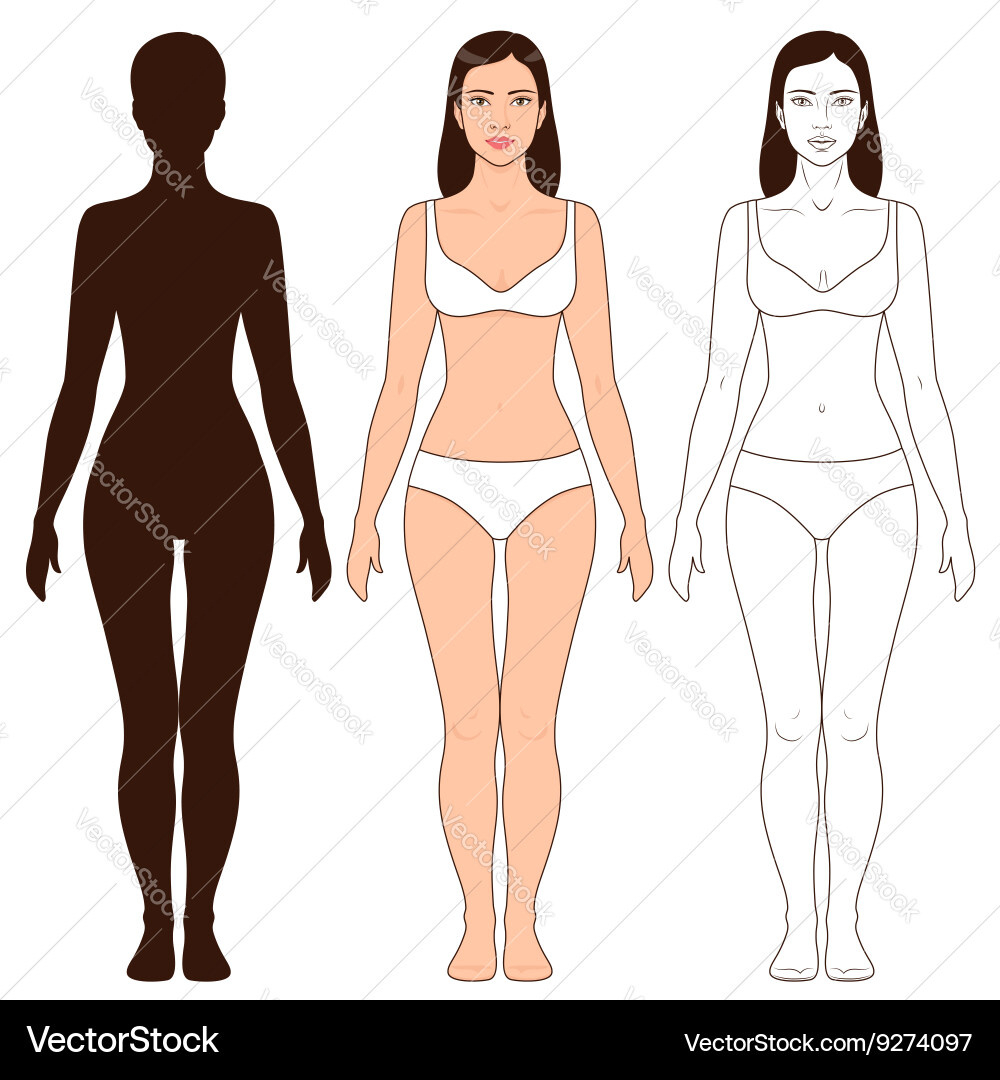 Woman Body Outline Template Royalty Free Vector Image with regard to Free Printable Human Body Template